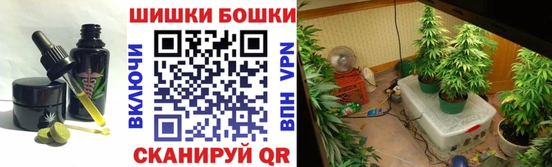 Canna-Cookies марихуана  где найти наркотики  Тихорецк 