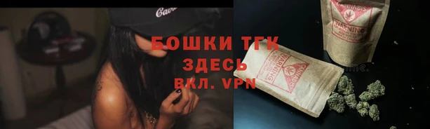 стафф Магас