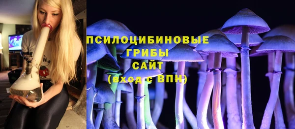 ГАЛЛЮЦИНОГЕННЫЕ ГРИБЫ Магас