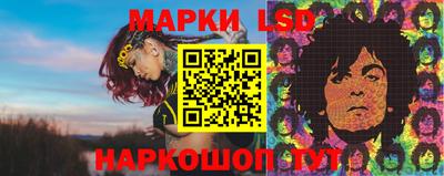 прущие грибы Комсомольск-на-Амуре