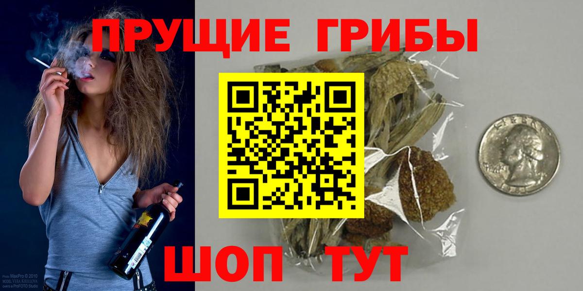 Галлюциногенные грибы Psilocybe Тихорецк